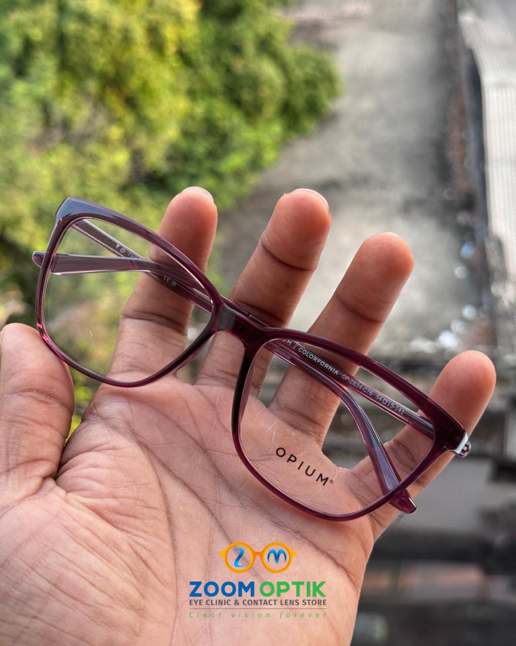 Wine Cat Eye Eyeglasses Frame for Women